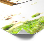 Camel ride poster (Hoek)