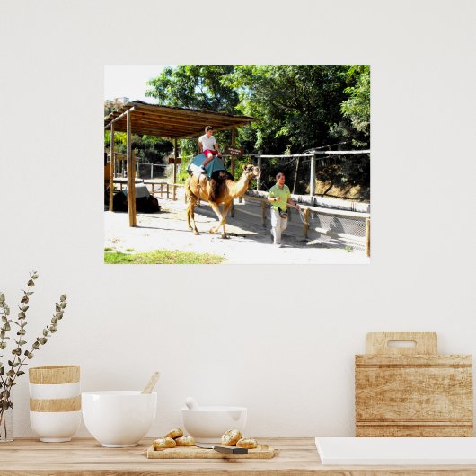 Camel ride poster (Keuken)