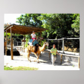 Camel ride poster (Voorkant)