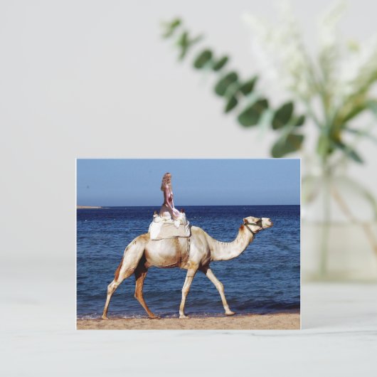 Camel Rider van het Zee Briefkaart (Staand voorkant)