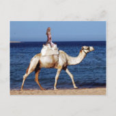 Camel Rider van het Zee Briefkaart (Voorkant)