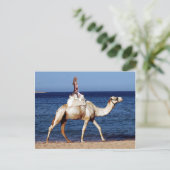 Camel Riding op het strand Briefkaart (Staand voorkant)