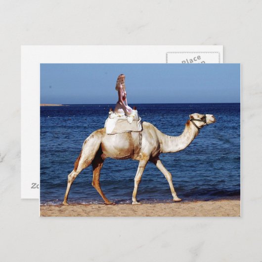 Camel Riding op het strand Briefkaart (Voorkant / Achterkant)