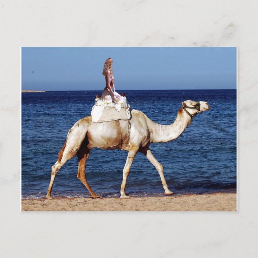 Camel Riding op het strand Briefkaart (Voorkant)