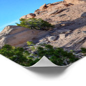 Camel Rock, New Mexico, in 2014 Poster (Hoek)