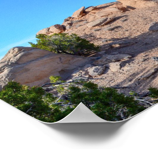 Camel Rock, New Mexico, in 2014 Poster (Hoek)