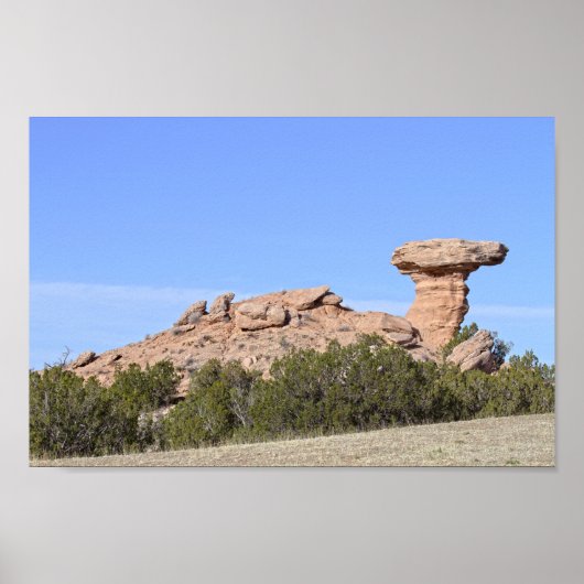 Camel Rock, New Mexico Poster (Voorkant)
