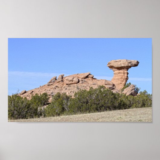 Camel Rock, New Mexico Poster (Voorkant)