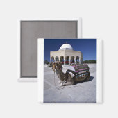 Camel rusteert voor dome, Monastir, Tunesië Magneet (Voorkant / Achterkant)