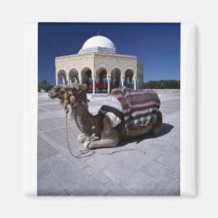 Camel rusteert voor dome, Monastir, Tunesië Magneet
