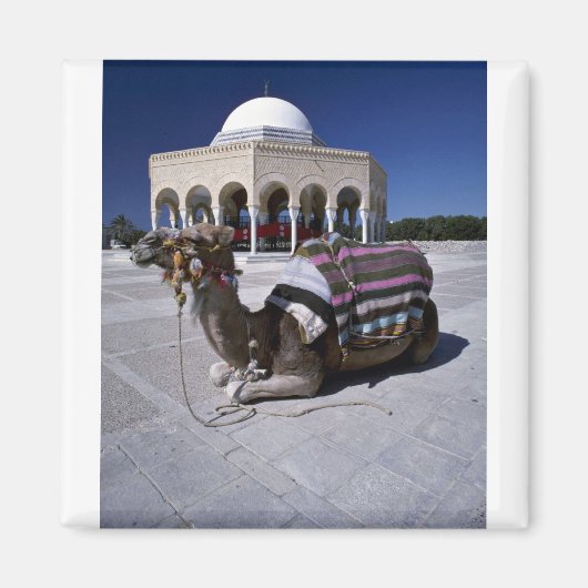 Camel rusteert voor dome, Monastir, Tunesië Magneet (Voorkant)