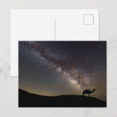 Camel Silhouette en Milkyway Briefkaart (Voorkant / Achterkant)