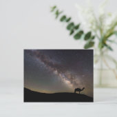 Camel Silhouette en Milkyway Briefkaart (Staand voorkant)