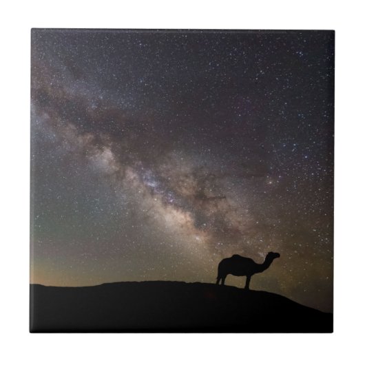 Camel Silhouette en Milkyway Tegeltje (Voorkant)