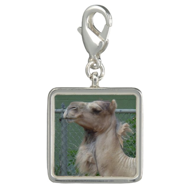 Camel Silver Plated Charm (Voorkant)