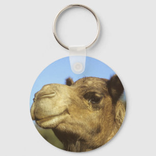 Camel Sleutelhanger