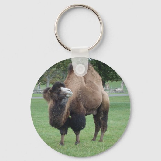 camel sleutelhanger (Voorkant)
