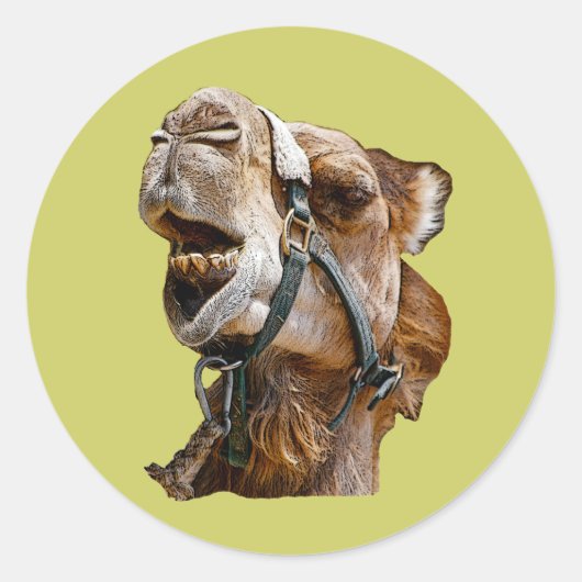 Camel Stickers (Voorkant)