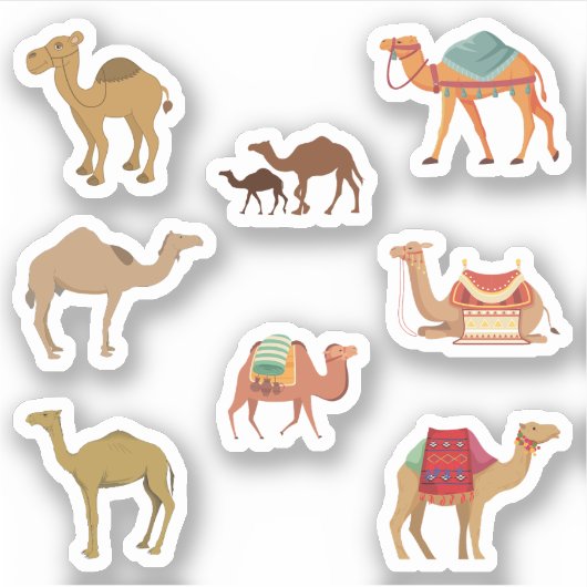 Camel Stickers (Voorkant)