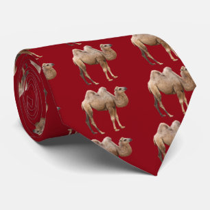 Camel Stropdas
