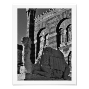 Camel Thoughts Foto Afdruk
