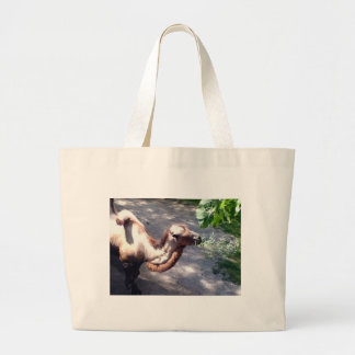 Camel tijd! Dieren van dierentuinen Grote Tote Bag