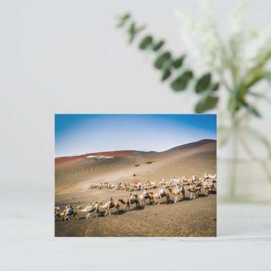 Camel Train op Lanzarote Briefkaart (Staand voorkant)