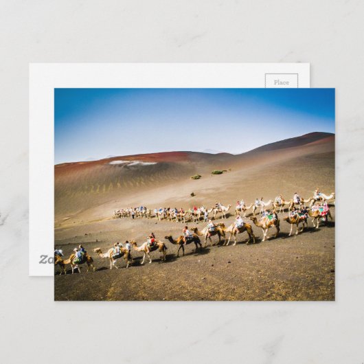Camel Train op Lanzarote Briefkaart (Voorkant / Achterkant)