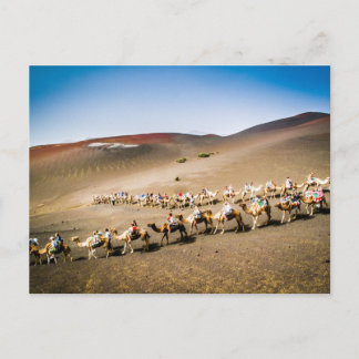 Camel Train op Lanzarote Briefkaart