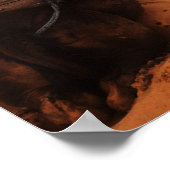 Camel van achteren poster (Hoek)