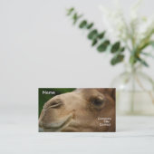 Camel Visitekaartje (Staand voorkant)