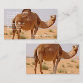 Camel Visitekaartje (Voorkant / Achterkant)