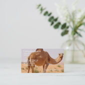 Camel Visitekaartje (Staand voorkant)