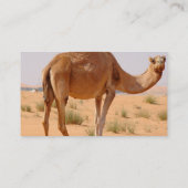 Camel Visitekaartje (Achterkant)