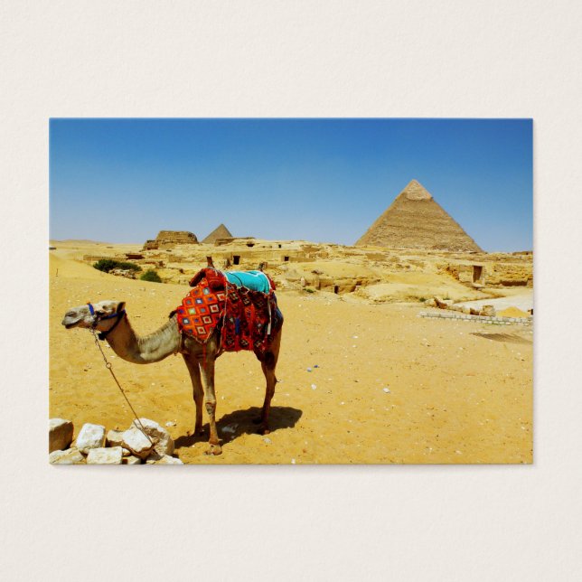 Camel Visitekaartje (Voorkant)