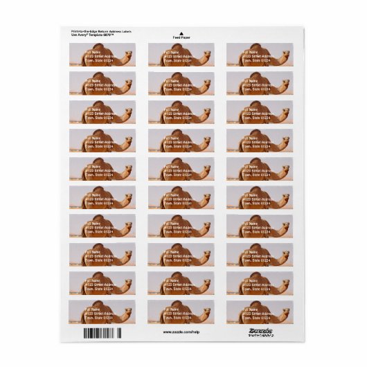 Camel voor Arabieren Retouradreslabel Etiket (Full Sheet)