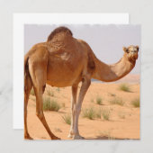 Camel voor Arabieren voor uitnodiging (Voorkant / Achterkant)