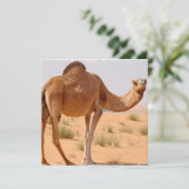 Camel voor Arabieren voor uitnodiging (Staand voorkant)