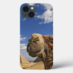 Camel voor de pyramiden van Giza, Egypte; Case-Mate iPhone Case