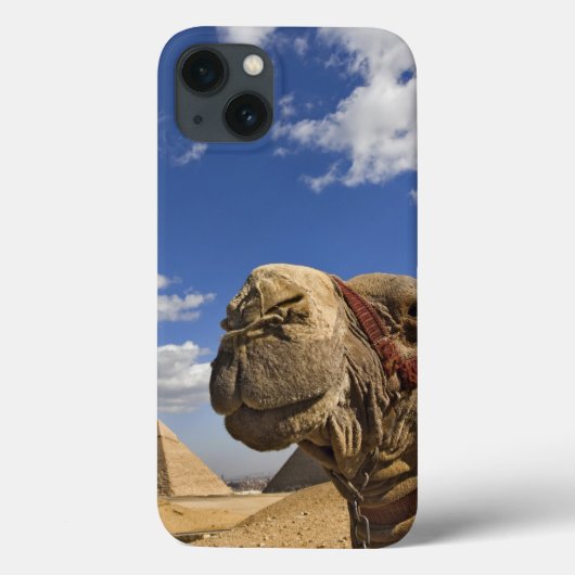 Camel voor de pyramiden van Giza, Egypte; Case-Mate iPhone Case (Achterkant)