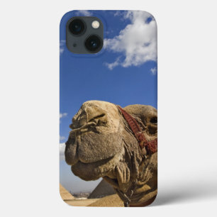Camel voor de pyramiden van Giza, Egypte; Case-Mate iPhone Case