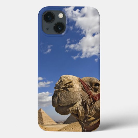 Camel voor de pyramiden van Giza, Egypte; Case-Mate iPhone Case (Achterkant)