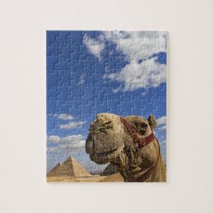 Camel voor de pyramiden van Giza, Egypte; Legpuzzel