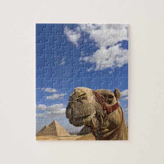 Camel voor de pyramiden van Giza, Egypte; Legpuzzel (Verticaal)