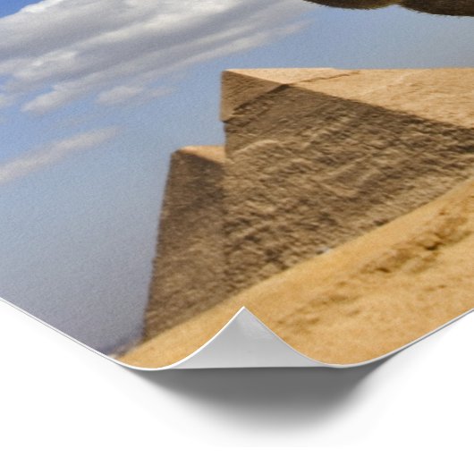 Camel voor de pyramiden van Giza, Egypte; Poster (Hoek)