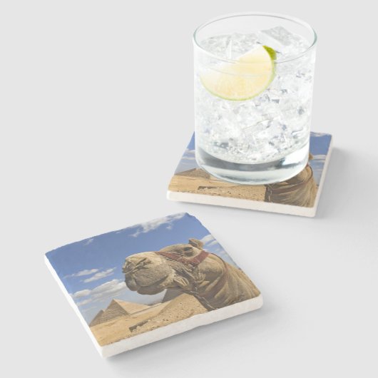 Camel voor de pyramiden van Giza, Egypte; Stenen Onderzetter (Zijkant)