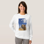 Camel voor de pyramiden van Giza, Egypte; T-shirt (Voorkant volledig)