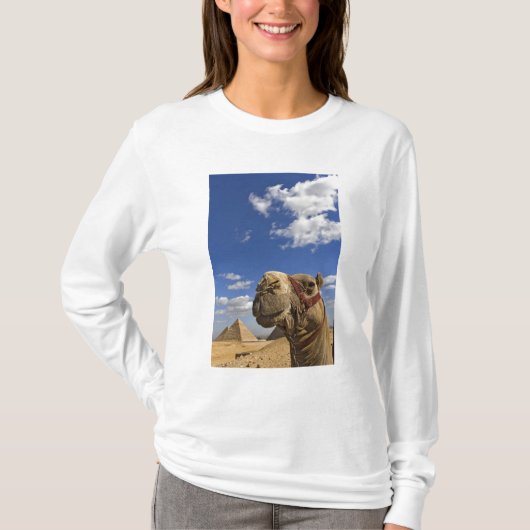 Camel voor de pyramiden van Giza, Egypte; T-shirt (Voorkant)
