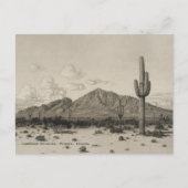 Camelback Mountain Saguaro Cactus Black & White Briefkaart (Voorkant)