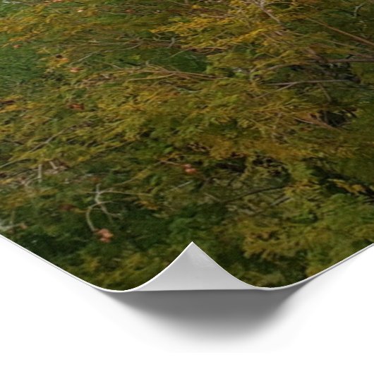 Camelback Mountain, Scottsdale, Arizona Poster (Hoek)